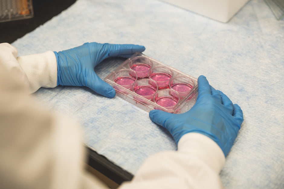 Our Lab Results – WakeFresh Singapore